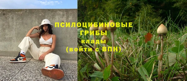 альфа пвп Армянск