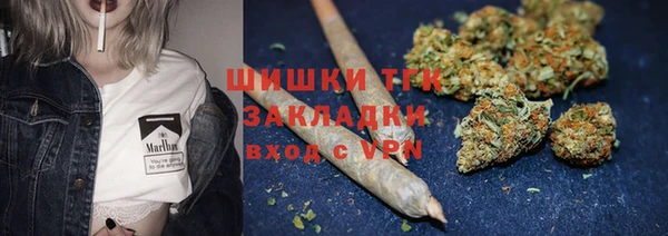 спиды Арсеньев