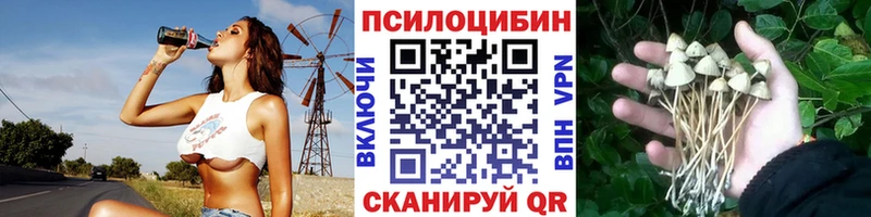 цены   Волгодонск  Галлюциногенные грибы Psilocybine cubensis 